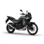 Kanyarvadászat MINI - Honda XL750 E-Clutch - 01. csoport - 09:00 - 09:15
